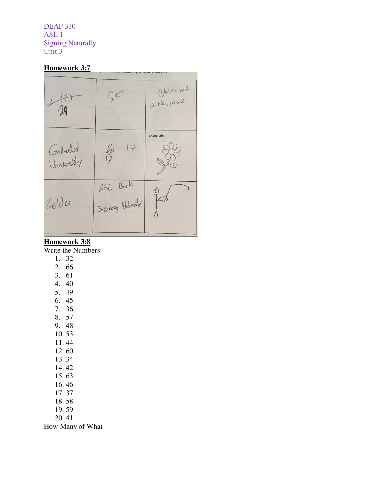document-preview